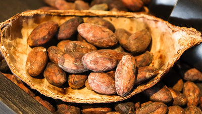 3 Consejos para Utilizar Cacao Puro en una Heladería